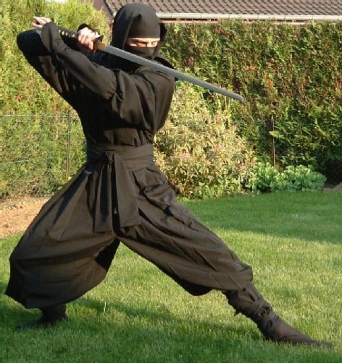 A Look At Ninjutsu